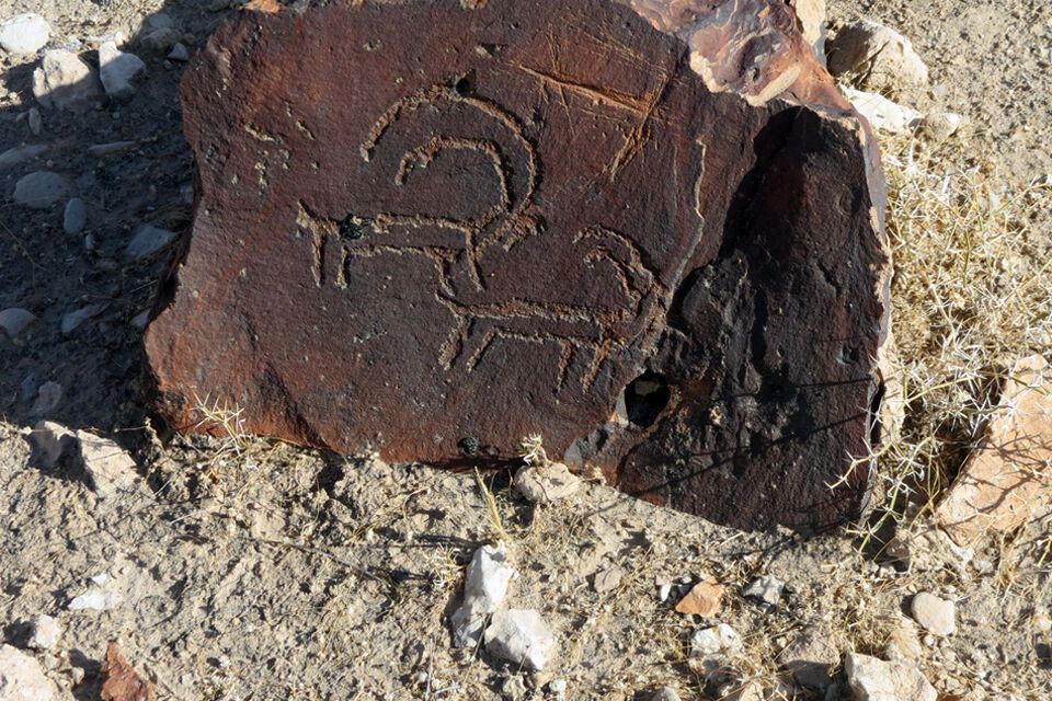 سنگ‌نگاره‌های هزارساله در داورزن کشف شد