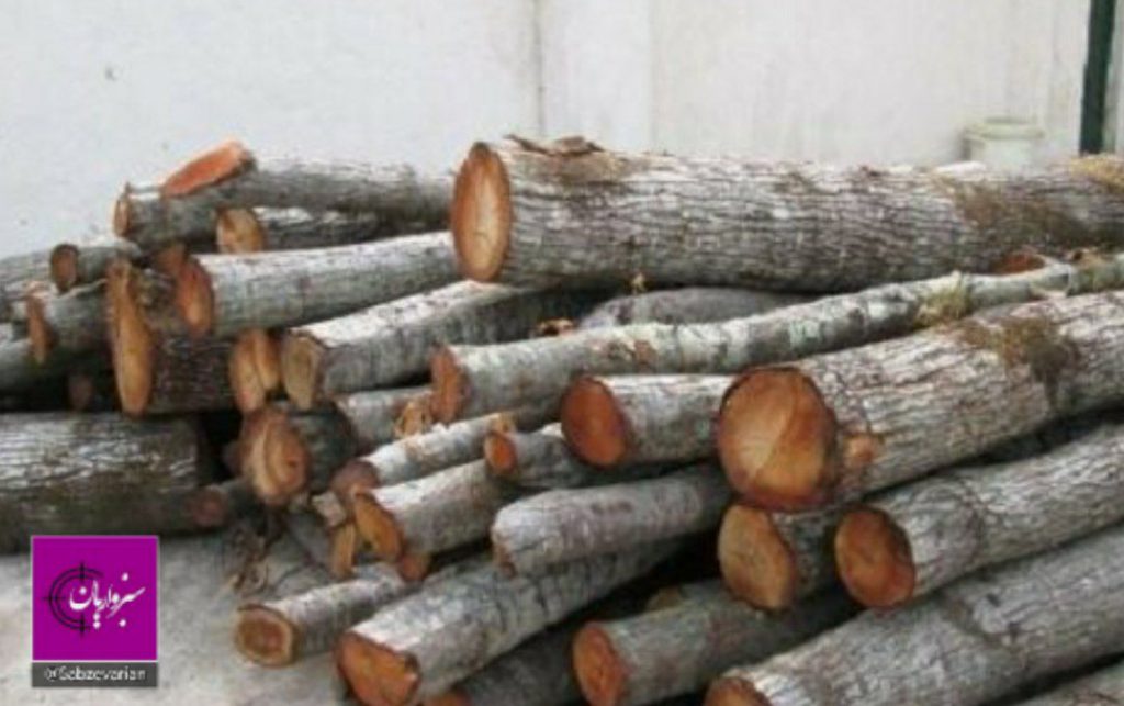 ۱۳ تن چوب قاچاق در داورزن کشف شد