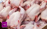 ۱۸۰۰ کیلوگرم گوشت مرغ فاسد در سبزوار نابود شد